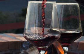 Vale Encantado Alfredo Wagner - Photo 16