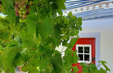 Monte da Casa Branca by Hi Alentejo - Foto 55