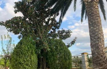 Casa Rural El Limonero - Foto 79