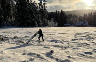 Ferienhaus Rose mit Sauna und HS-Card - Greschuk Apartments - Photo 17