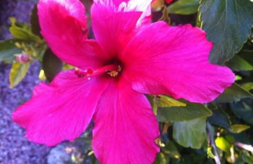 Vacaciones La Marina Costa Blanca - Foto 34