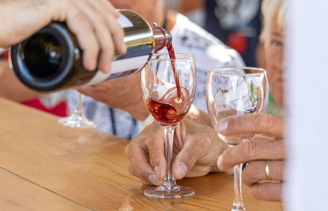 Degustación de vinos en Rodas, dentro de los viñedos con el productor. - Foto 13