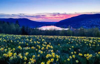 Nouveau Chalet M.META 12 pers sauna,jacuzzi,billard - Foto 47