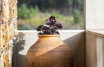 Quinta da Palhota - Foto 11