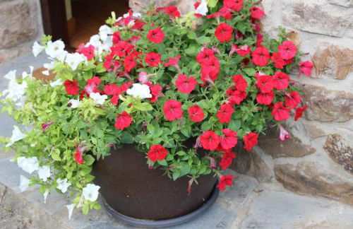 APARTAMENTOS LA COTERA - BARRIO DE ARRIBA segunda entrada 2 - Foto 73