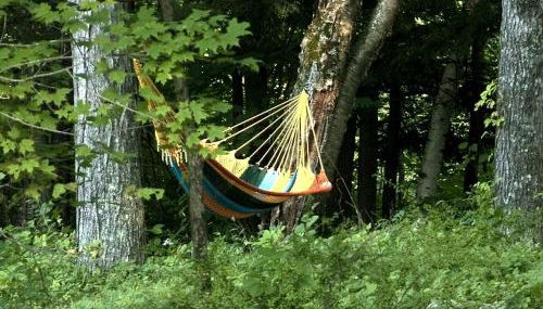 Custom Cabin Surrounded by River in Newfane, Vermont - Foto 2