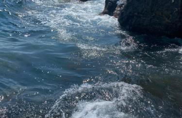 Alloggio in Villa Bordone ,Aeroporto & FREE PARKING - Foto 30