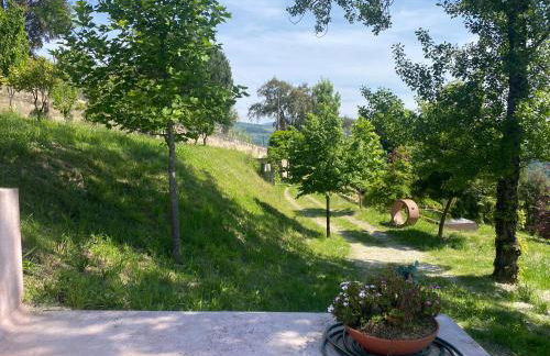 Douro Wellspring - Foto 49