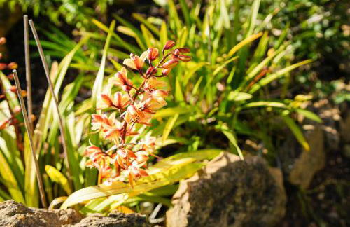 Cliffside Boho Villa - Foto 75