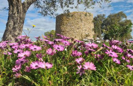Casas do Monte - Foto 21