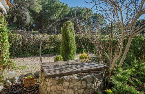 Ribera del Duero - Foto 34