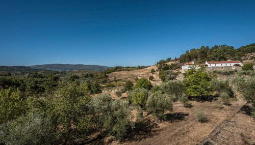 Casa do Olival - Foto 5