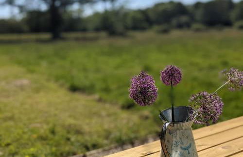 Kenny’s Hut - Foto 16