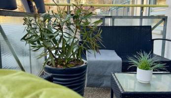 Südstadtoase • Tübingen &freeParking - Foto 3