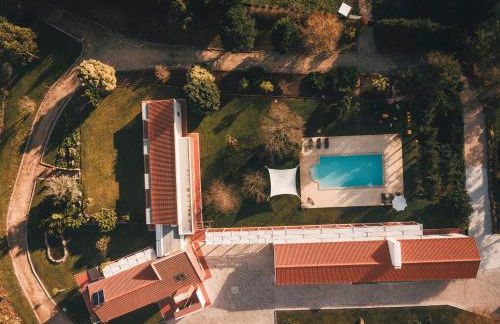 Vale Pisco - Photo 10