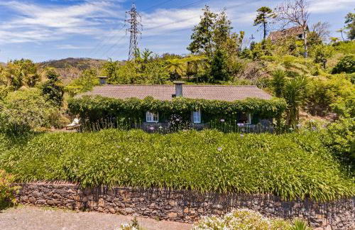 Quinta Devónia III - Nogueira by An Island Apart - Foto 89