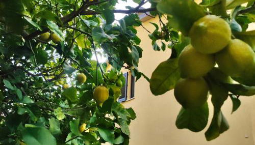 Angolo Azzurro - Foto 2