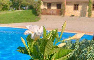 Family friendly house with a swimming pool Novi Marof, Zagorje - 19184 - Foto 8