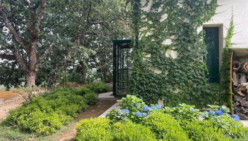 Casa Rural Finca De Musgo - Foto 3, Garden