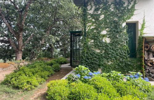 Casa Rural Finca De Musgo - Foto 3