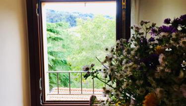 Antico Borgo dell'Anconella - grande appartamento rustico - Foto 3