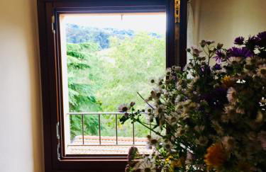 Antico Borgo dell'Anconella - grande appartamento rustico - Foto 3