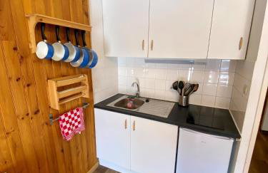 Centre station - LA FOUX D'ALLOS - Charmant T2 - Foto 4