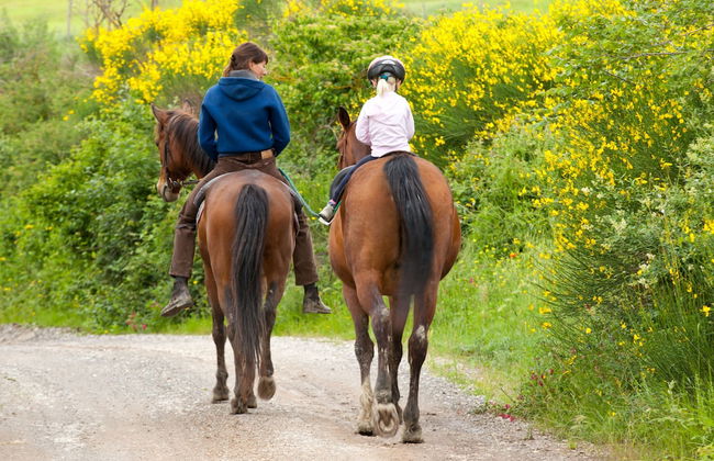 Fattoria Pieve a Salti - Foto 27