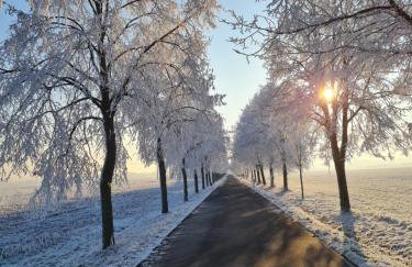 Ferienwohnung EnergiePunkt am Planitzwald - Foto 10