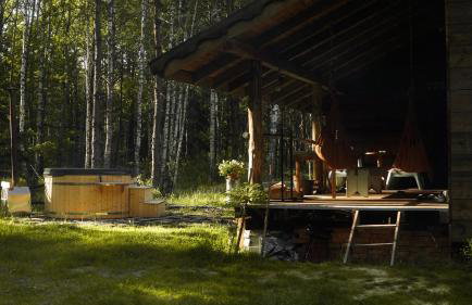 Biały Las Magiczna Stara Chata Puszcza Białowieska - Foto 48