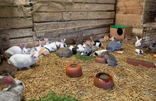 Agroturismo Urresti - Foto 75