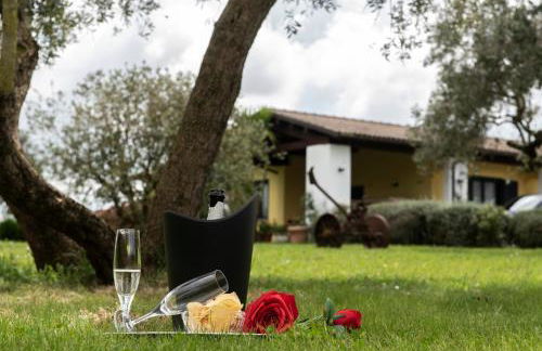 Agriturismo La Vita è Bella - Foto 62