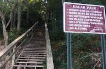 Peaceful Forested 5 Bdrm Near Lake sleeps up to 16 - Photo 13