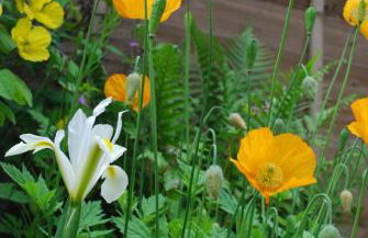 Character cottage in the heart of Uplyme. - Foto 29