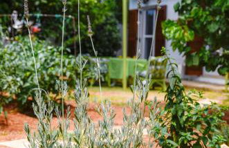 Gaia Residence - Foto 22