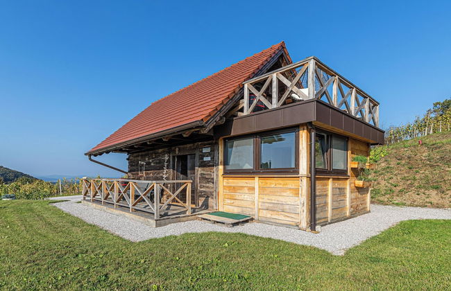 Vineyard Cottage Grajska Kasca - Foto 11