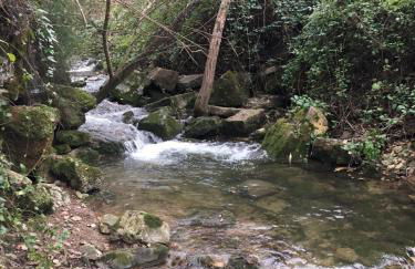 Casinha de campo- Quintinha dos Cavalos- Arruda dos Vinhos - Foto 47