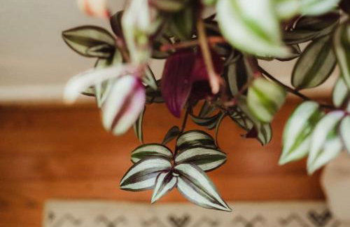 Huge Beach Bungalow- Yard, Beach Pass, King Beds - Foto 25