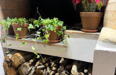 ruralhome callemayor - Photo 9