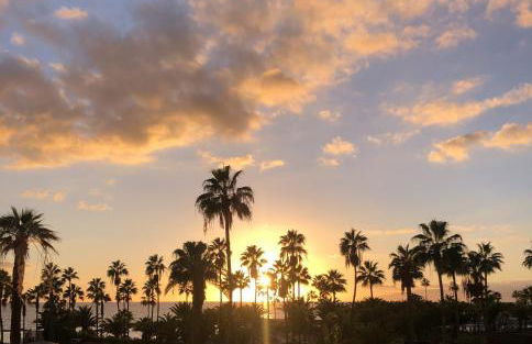 Cosy flat with sea view, pool and terrace in Altamira-complex in Costa Adeje - Playa del Duque - Foto 30