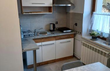 Agroturystyka Leśna Ostoja Borek - Foto 17