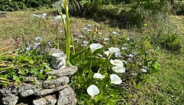 Maison vintage en bord de mer - Foto 4, Garden