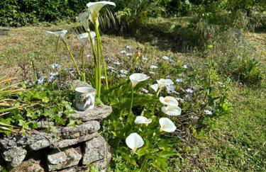 Maison vintage en bord de mer - Foto 4