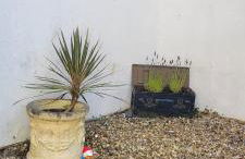 Bee Cottage - Photo 15