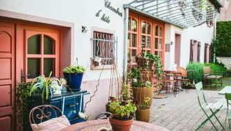 v i o l e t t e La souris des champs - Foto 3