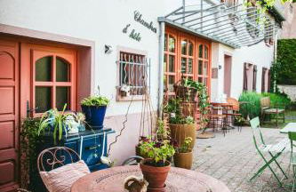 v i o l e t t e La souris des champs - Foto 3