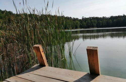 Smocze Ranczo - Foto 73