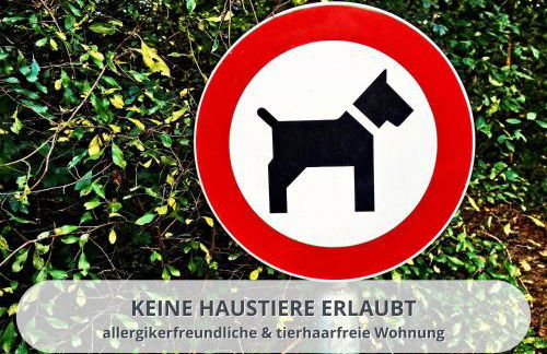 FeWo Schwarzwaldschick Feldberg I Direkt an der Piste I Whirlwanne I Tiefgarage I Skipass vergünstigt - Foto 54