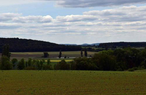 Ferienwohnung Steigerwaldblick - Foto 15