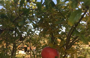 Agriturismo da Mamma - Foto 55